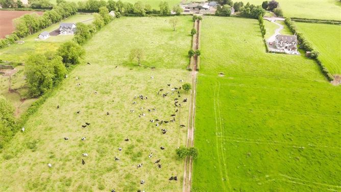 Lands Kill Saint Anne, Castlelyons, Co. Cork