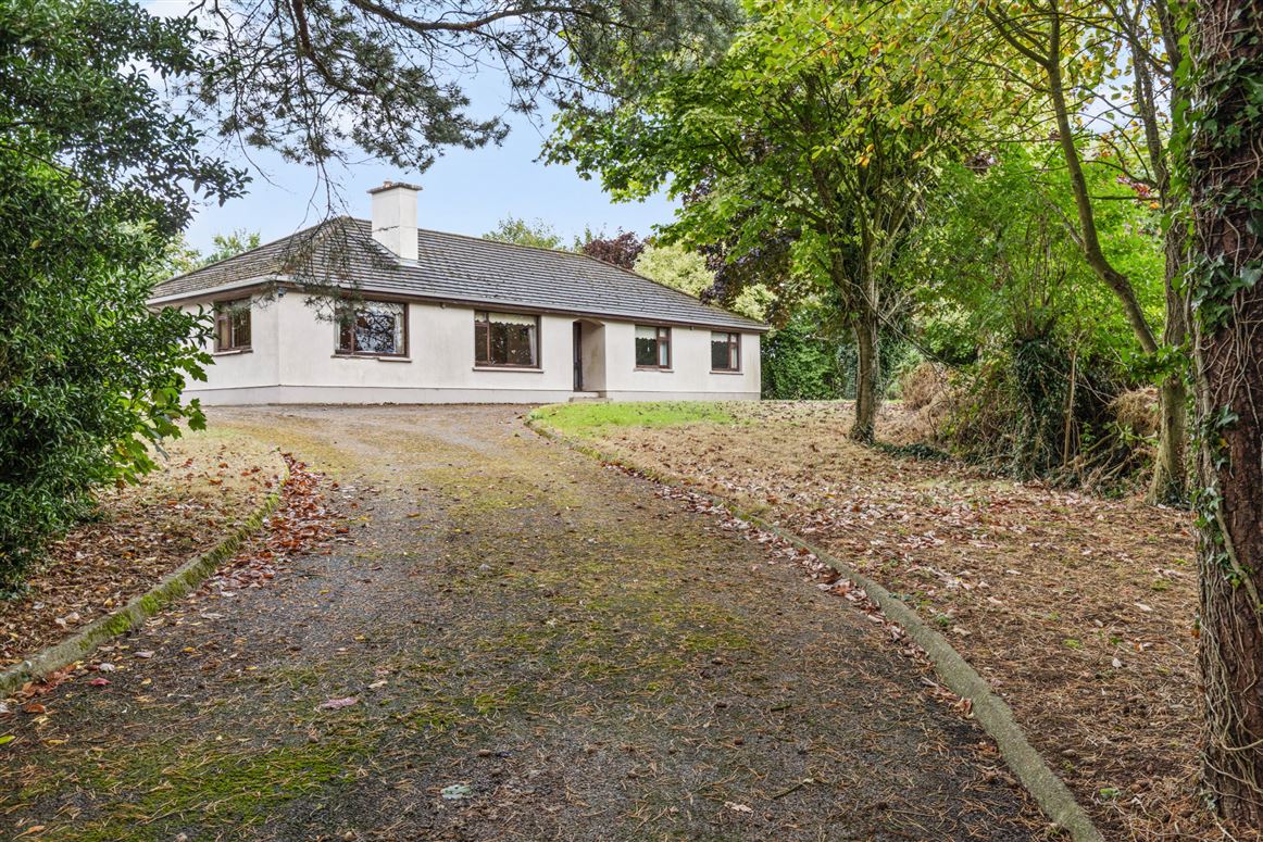 Shanbogh Upper, Rosbercon, Co. Kilkenny