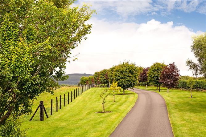 Streamstown, Ballisodare, Co. Sligo