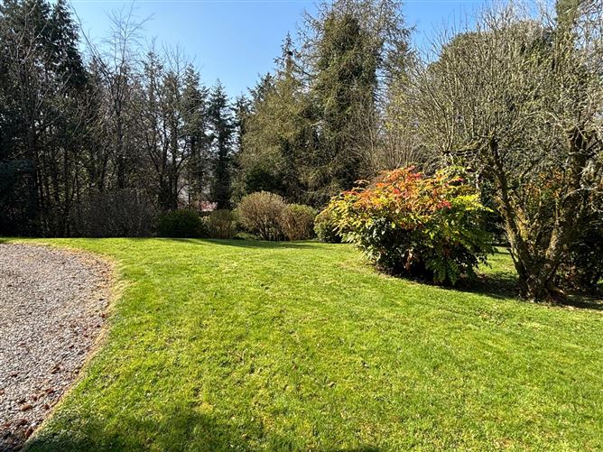 https://photos-a.propertyimages.ie/media/6/5/2/4947256/d330bd19-96fe-4182-b06c-edfc0a9003f0_l.jpg