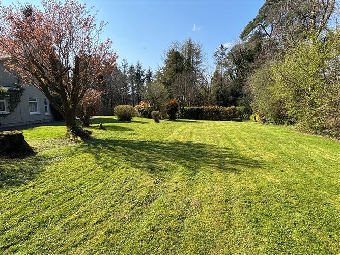 https://photos-a.propertyimages.ie/media/6/5/2/4947256/d330bd19-96fe-4182-b06c-edfc0a9003f0_l.jpg