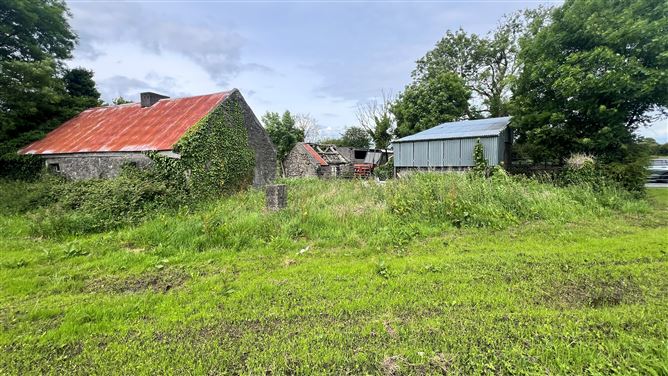 Photo 10 of 12 — 10 Acres, Rooaun, Creagh, Ballinasloe, Galway