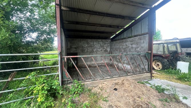 Photo 5 of 12 — 10 Acres, Rooaun, Creagh, Ballinasloe, Galway