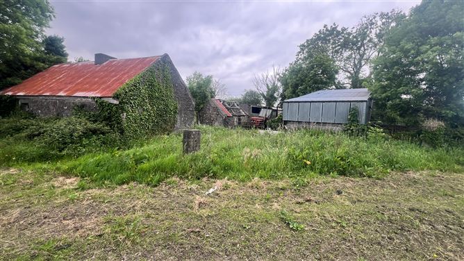 Photo 7 of 12 — 10 Acres, Rooaun, Creagh, Ballinasloe, Galway