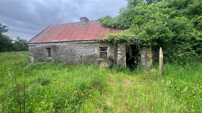 10 Acres, Rooaun, Creagh, Ballinasloe, Galway