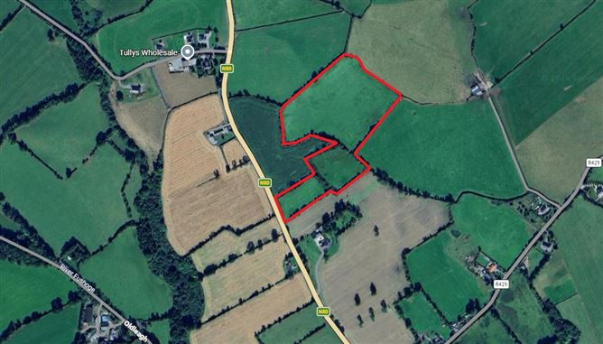 Rathillig, Ballickmoyler, Co. Laois