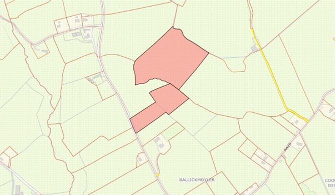 Rathillig, Ballickmoyler, Co. Laois