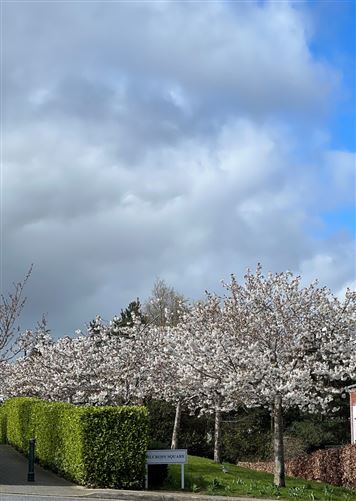 1 Kilcross Square, Sandyford Village, Sandyford, Dublin 18