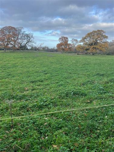 Rowbeg, Adare, Limerick