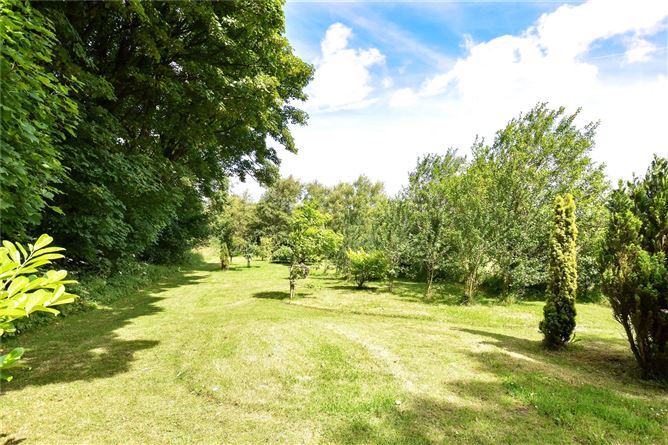 Woodfield, Dunmore, Co. Galway