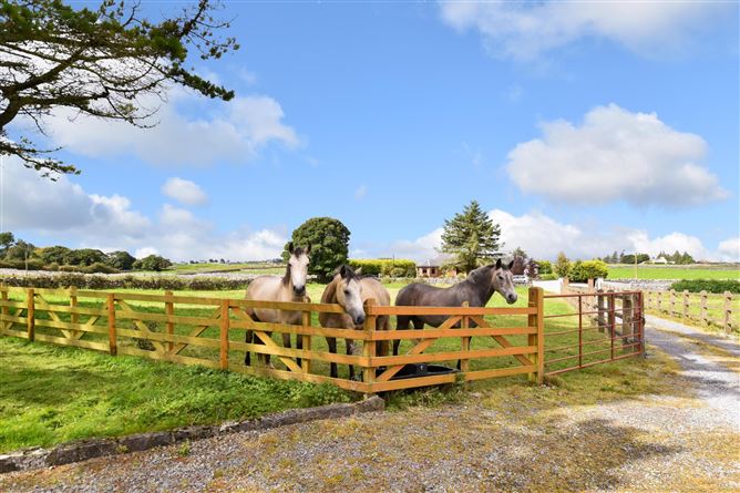 Kilquire, Kilmaine, Co. Mayo