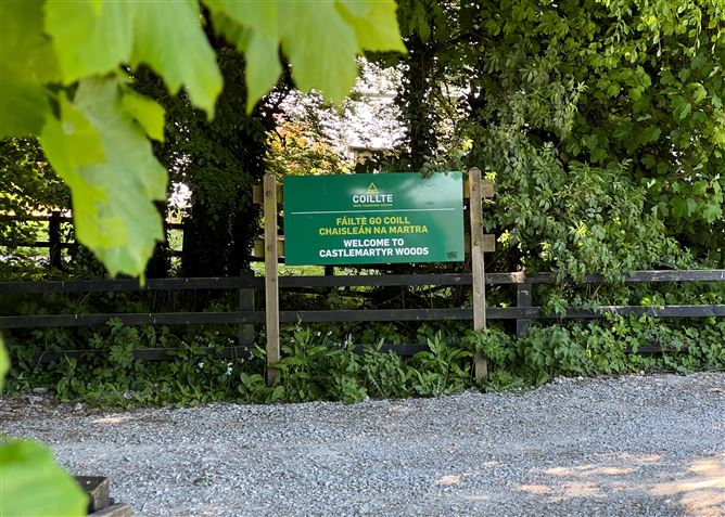 11 Bridgetown Close, Castlemartyr, Cork