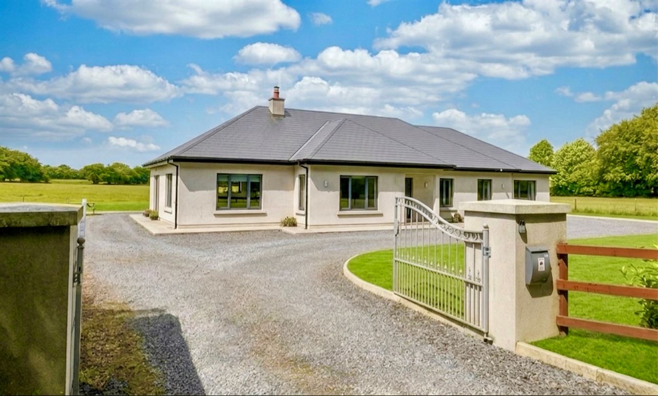 Yellowbog Common, Kilcullen, Kildare
