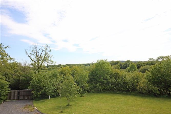 Ballintogher, Ballybrittas, Co. Laois