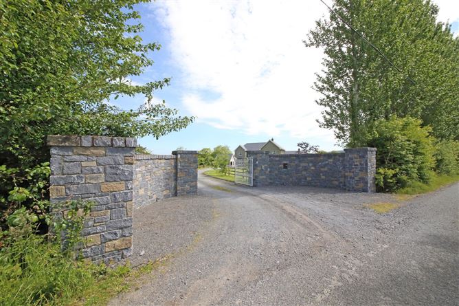 Ballintogher, Ballybrittas, Co. Laois