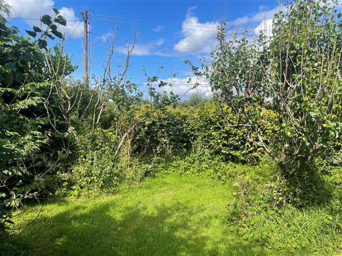 Linnet Lodge, Clonbrock, Crettyard, Laois
