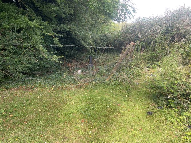 Linnet Lodge, Clonbrock, Crettyard, Laois