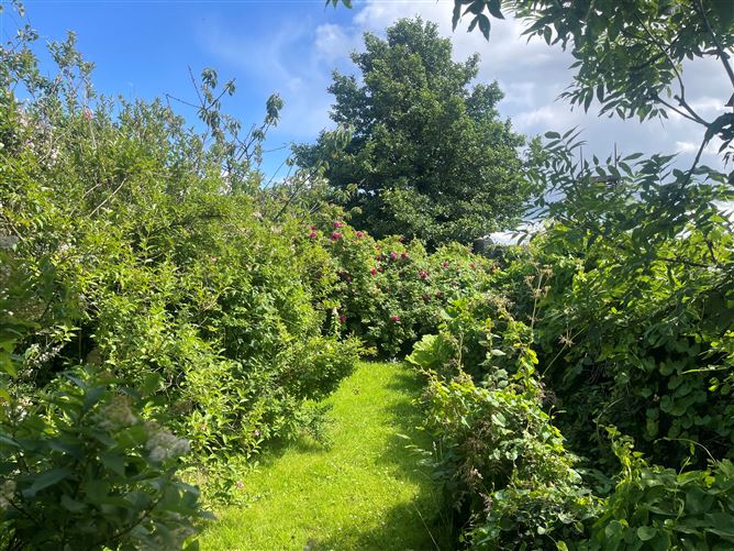 Linnet Lodge, Clonbrock, Crettyard, Laois