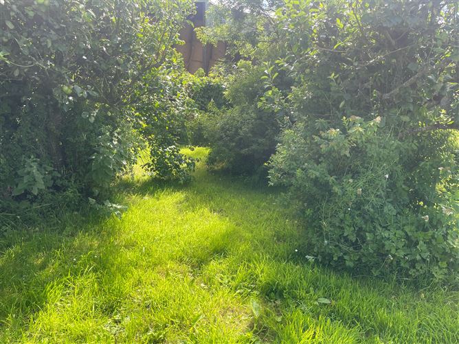 Linnet Lodge, Clonbrock, Crettyard, Laois
