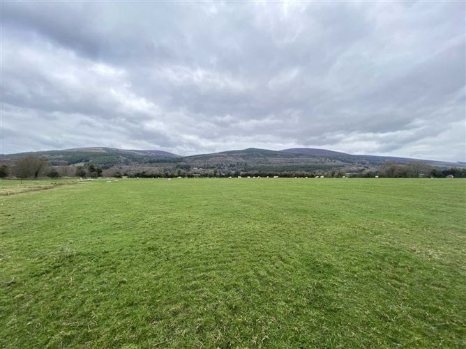 Killurney, Ballypatrick, Clonmel, County Tipperary P F Quirke & Co