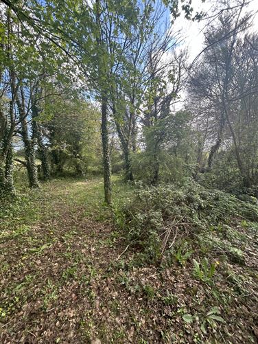 Toonagh Cottage, Ennis, County Clare