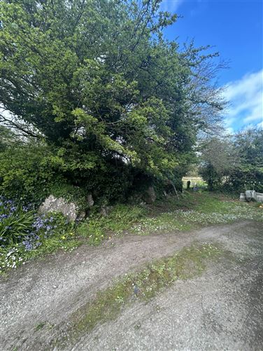 Toonagh Cottage, Ennis, County Clare