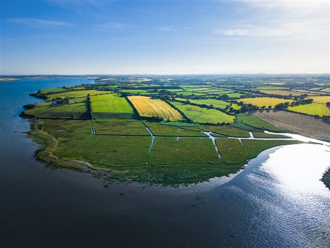 Clonmines, Wellingtonbridge, Wexford