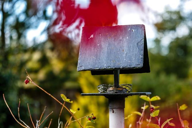 'Oldfield', Moone, Moone, Kildare, Kildare