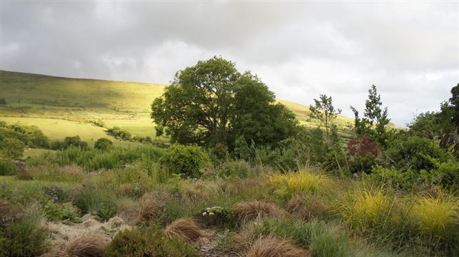 Knockendrane, Garryhill, Garryhill, Carlow