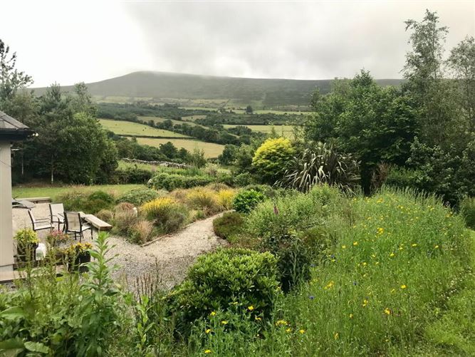 Knockendrane, Garryhill, Garryhill, Carlow