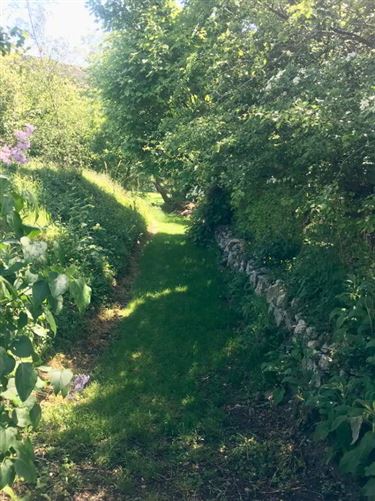 Knockendrane, Garryhill, Garryhill, Carlow