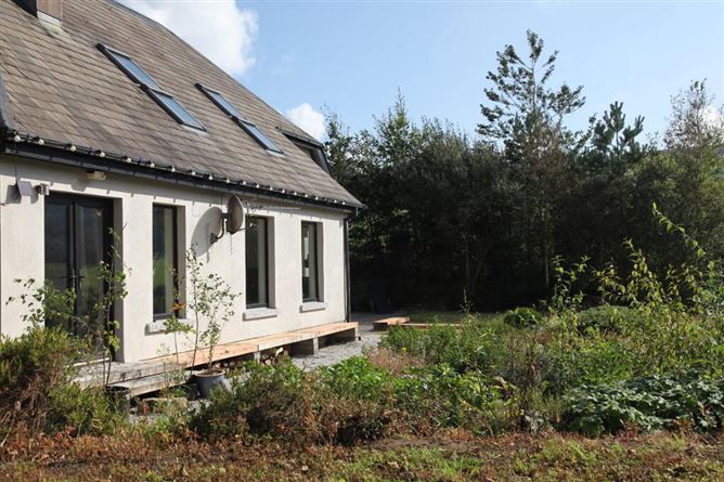 Knockendrane, Garryhill, Garryhill, Carlow