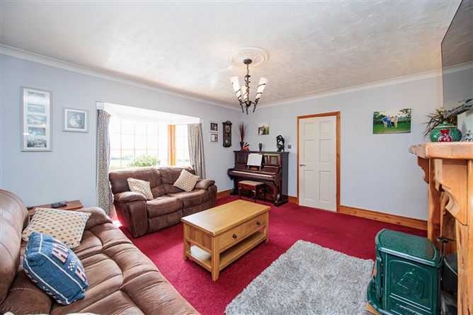 Sean Garragh, Ballygorteen, Castlewarren, Kilkenny, Kilkenny