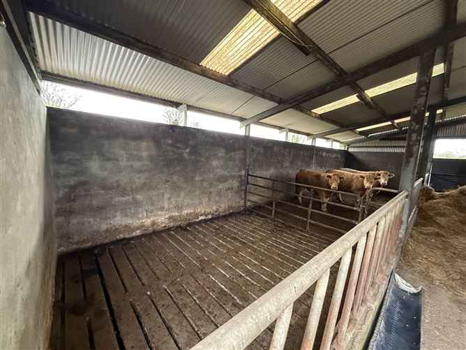 Moigh Lower, Cloonfad, Ballyhaunis, County Roscommon