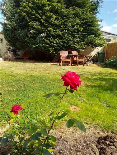 https://photos-a.propertyimages.ie/media/6/6/1/5017166/0ca9d982-7396-4577-bbbd-2c4d315071bd_l.jpg