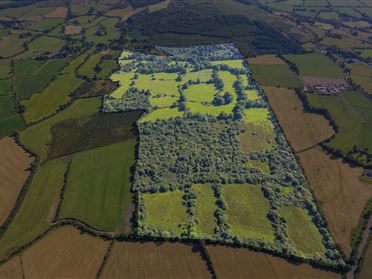 104 Acres at Gneeves, Lombardstown, Co. Cork