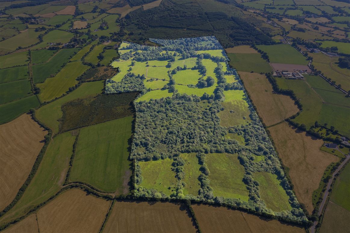 104 Acres at Gneeves, Lombardstown, Co. Cork