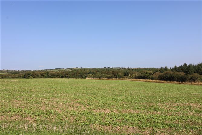 Raheen, Passage East, Waterford