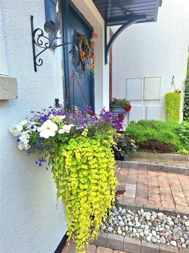 87 Drumaconn, Cornamaddy, Athlone, Westmeath