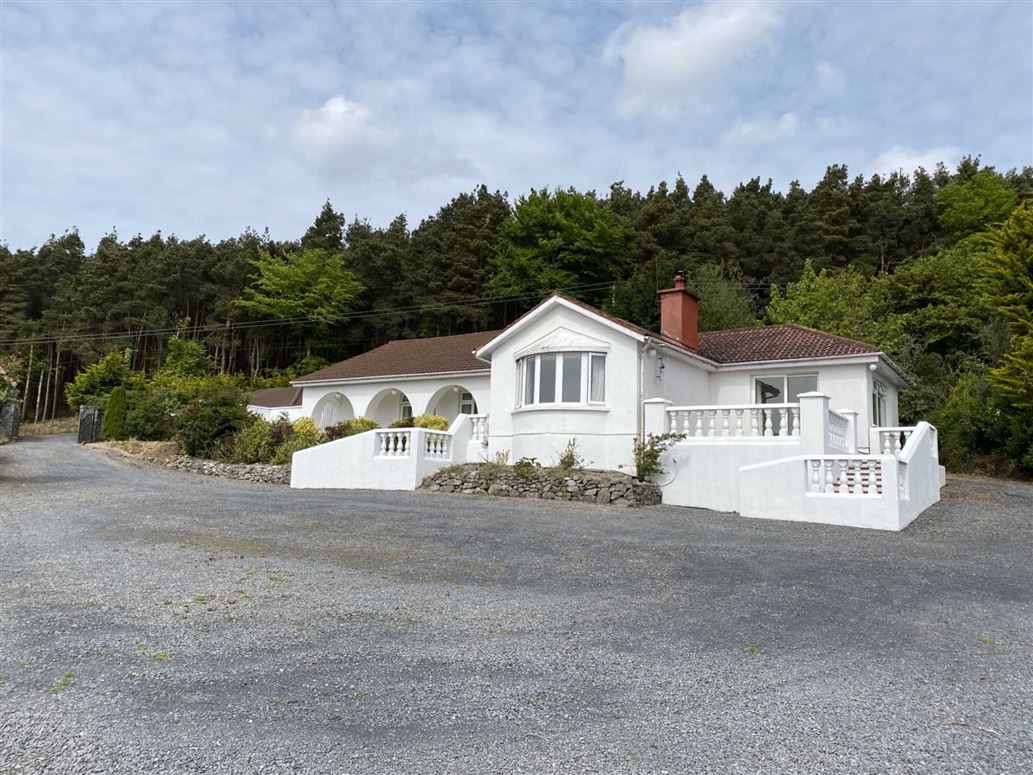 The Villa, Cahir Abbey Upper, Cahir, County Tipperary P F Quirke & Co