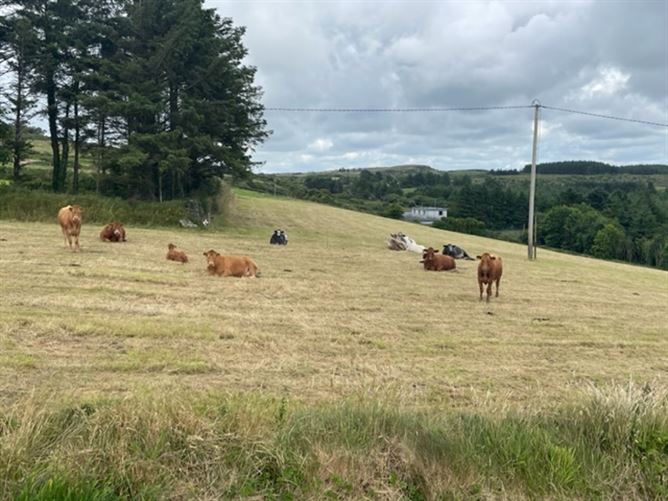 Cloonlaheen West, Mullagh, Clare
