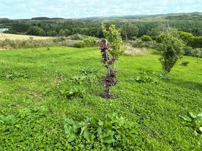 Cloonlaheen West, Mullagh, Clare