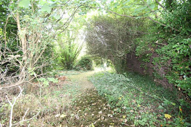Photo 17 of 24 — Parkdale, Adams Villa, Tullamore, Offaly