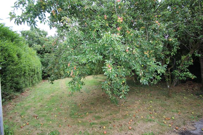 Photo 18 of 24 — Parkdale, Adams Villa, Tullamore, Offaly