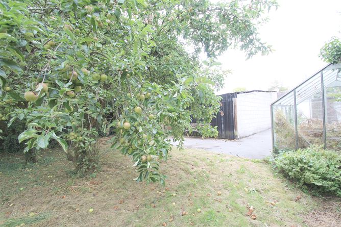Photo 22 of 24 — Parkdale, Adams Villa, Tullamore, Offaly