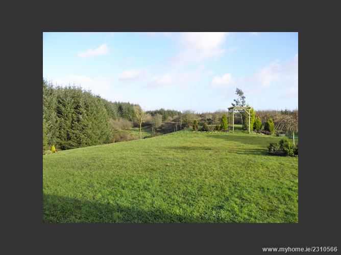 Baurnafea, Castlewarren , Kilkenny, Kilkenny