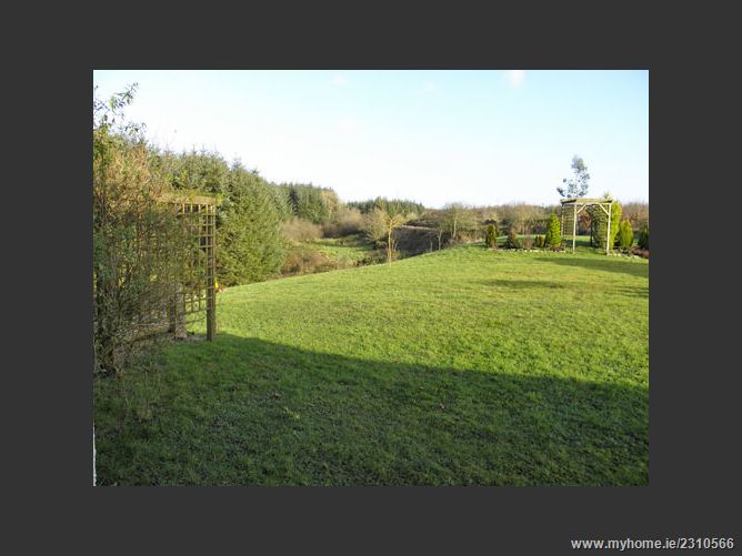Baurnafea, Castlewarren , Kilkenny, Kilkenny