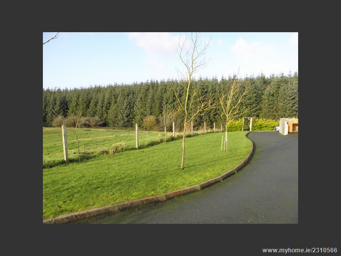 Baurnafea, Castlewarren , Kilkenny, Kilkenny