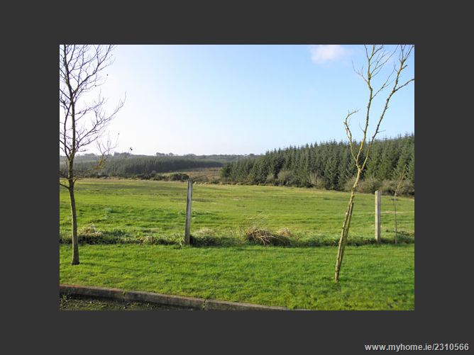 Baurnafea, Castlewarren , Kilkenny, Kilkenny