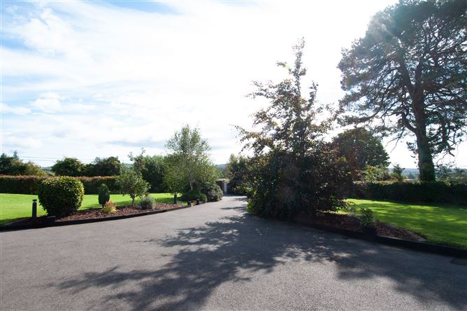 Annagh, Gorey, Wexford